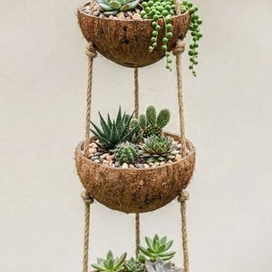 May include: A three-tiered hanging planter made from coconut shells, suspended by thick jute ropes. Each bowl contains a variety of green succulents, including string of pearls and cacti, planted in small pebbles. The structure is vertical and rustic.