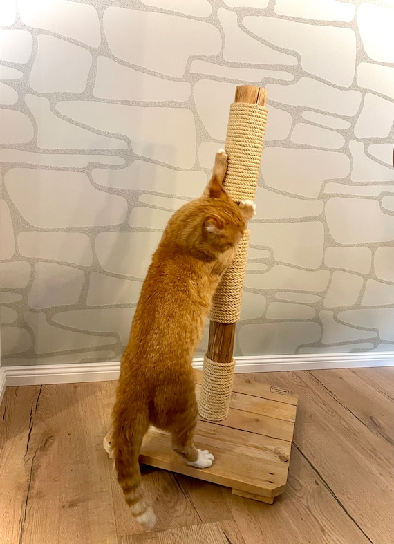 XXL Natur Kratzstamm Kratzbaum Katze Kitten Balkon Outdoor Holz - Etsy  sterreich