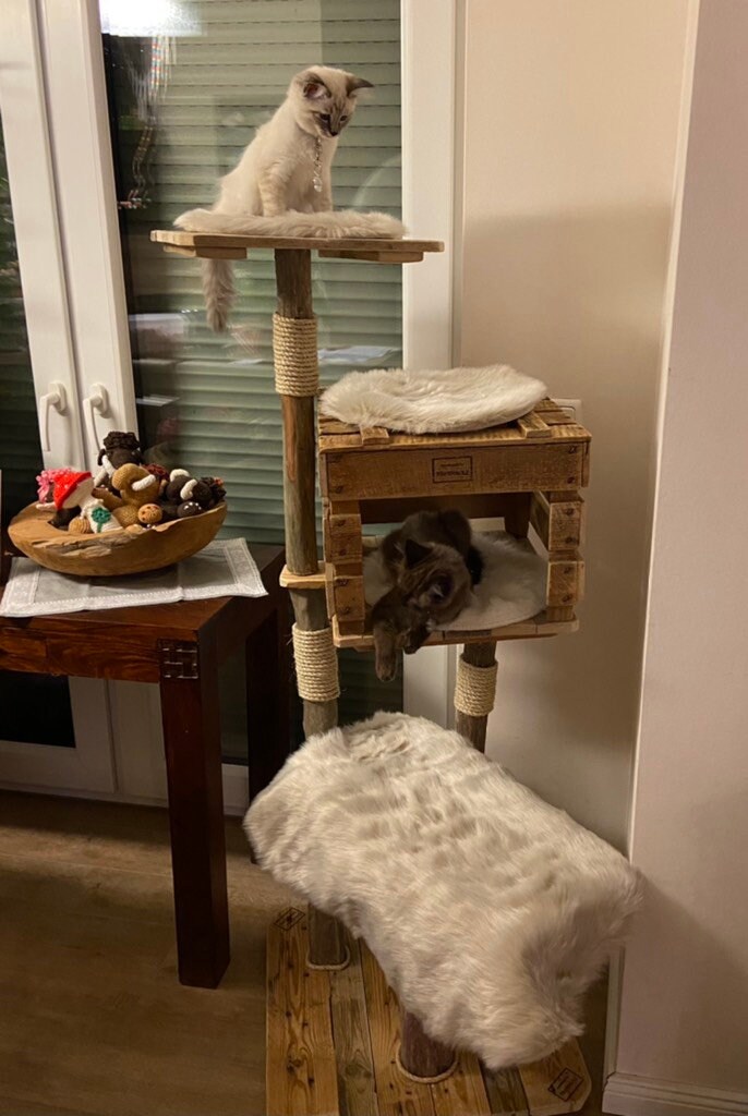 Gothic Katzenkratzbaum Mit Sisal & Spielzeug – 94 Cm Hoch, Schwarz, Für Mittlere & Große Katzen, Stabile Basis