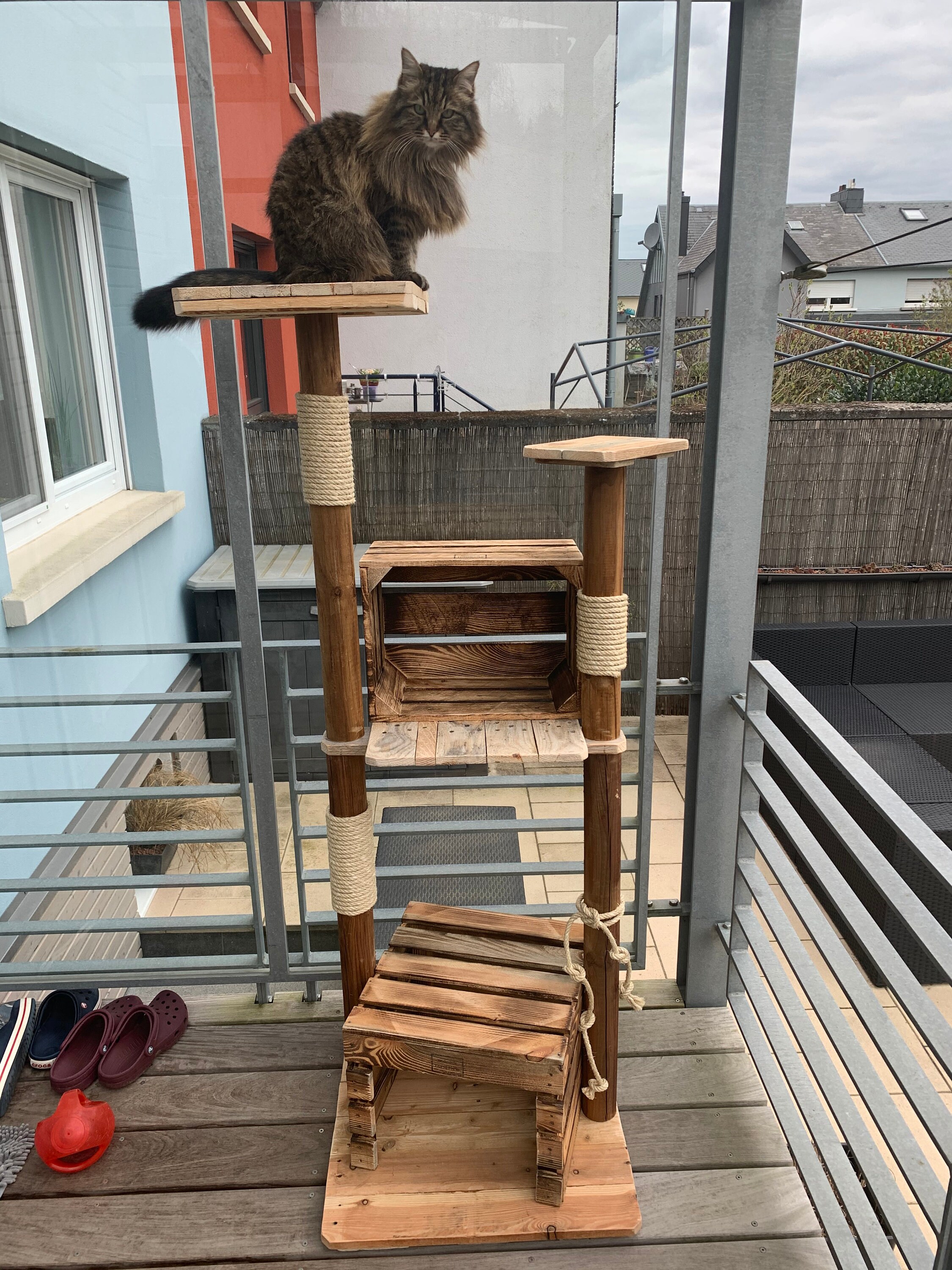 Natur Holz Kratzbaum Katzenbaum Katze Kitten Outdoor Balkon Etsy
