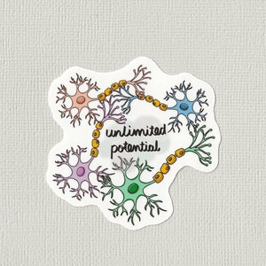 May include: A sticker with a design of five interconnected neurons in different colors, with the text "unlimited potential" in the center.