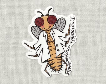Drosophila sticker