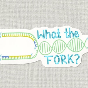 May include: A white sticker with a DNA replication diagram in green and yellow, and the text "What the FORK?" in teal. The sticker has a science theme.