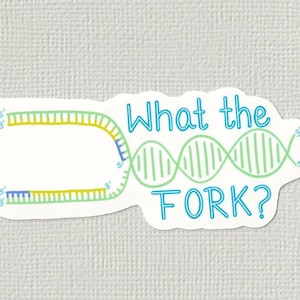 What the (DNA) fork?