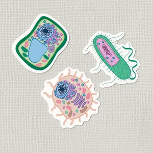 Mini cell pack