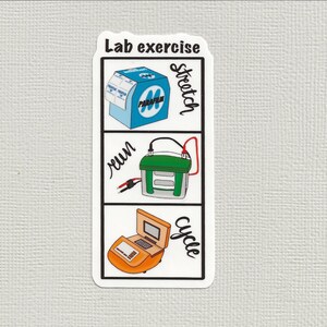 Lab exercise: stretch, run, cycle