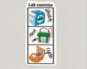 Lab exercise: stretch, run, cycle