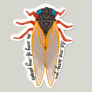 Singing cicada