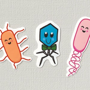 May include: Three cartoon stickers of different types of bacteria. The first is a red and orange bacteria with a smiling face. The second is a blue and green bacteria with a bow tie and a smiling face. The third is a pink bacteria with a smiling face and a spiral tail.