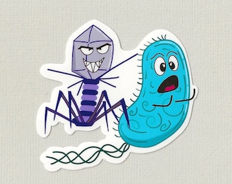 Phage attack