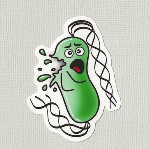 Lysing bacteria