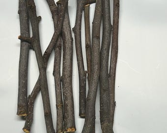 Palitos de madera de manzano, ideales para conejos y chinchillas, juguete interactivo para masticar dental, de 1/8 a 1/4" de ancho