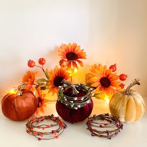May include: A fall-themed arrangement with two pumpkins, one orange and one brown, surrounded by sunflowers, berry sprigs, and a burgundy velvet pumpkin with a white and green floral wreath.