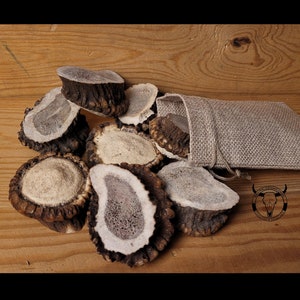 Real Red Deer antler Burr Crafting Supply: Affordable & Unique! Perfect for DIY Projects, Jewelry Making, and Home Decor, deer burr, gift