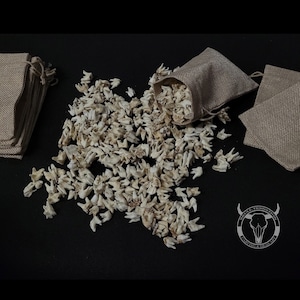 Roe deer TEETH | Clean teeth | Sale by pieces | Witchcraft  | Oddies | deer teeth