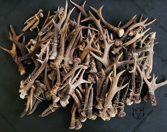 RANDOM REAL ANTLERS - bois artisanaux bon marché, chien à mâcher, paire de bois de cerf européen, bois de chevreuil cueillis au hasard, paire ou simple, cadeau