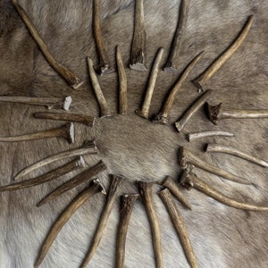 Real Fallow Deer Antler Points & Tips for Crafting | Perfect for Necklaces, Viking Decor, Witchcraft Supplies | Unique Craft Material, Gift