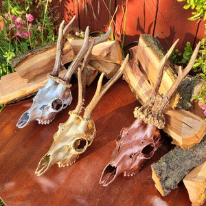 Hand Painted Real Roe Deer Skull with Antlers | Real European Skull Art | Spray Painted Bone Decor | Ethical Wall Ornament | Unique Rare