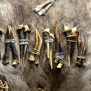 European Roe Deer Antlers (9–14 cm) for Viking and Norse Crafts - Scandinavian decor image 1