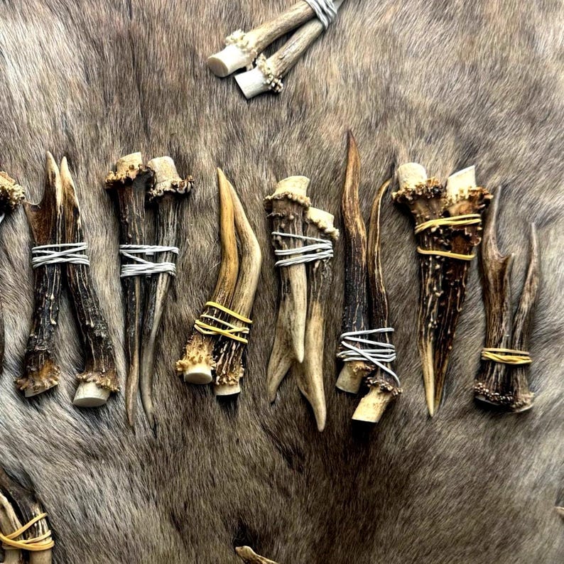 European Roe Deer Antlers (9–14 cm) for Viking and Norse Crafts - Scandinavian decor image 1