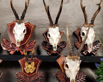 鹿の頭蓋骨の壁飾り - Etsy 日本