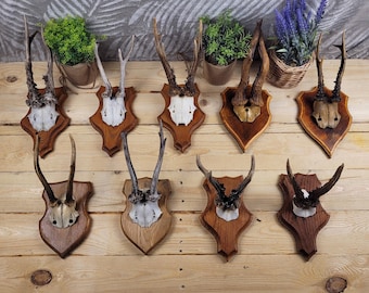 Gancio Appendiabiti Da Avvitare CA 222/G In Inox Inox Satinato L 4 X H 4 Cm 82686358 - Foto 9