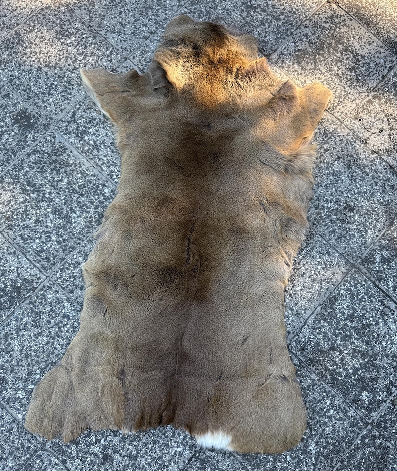 May include: A tanned deer hide, showcasing a natural color palette of browns and tans. The hide is laid out, displaying the shape of the animal, including the ears and a white patch near the tail. The fur appears soft and textured.