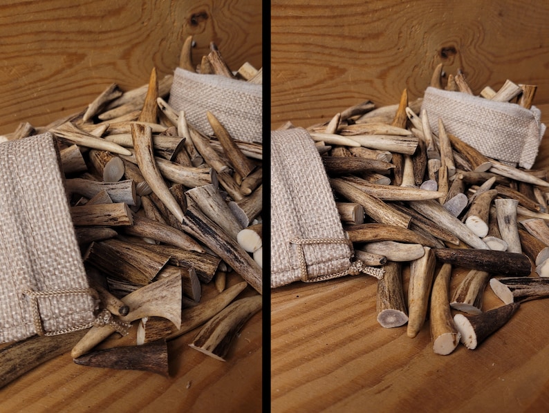 Real Roe Deer Antler Tips: Affordable, Versatile, Perfect for Necklaces, Jewelery, Crafting viking jewelery, handicraft material bones shed image 5