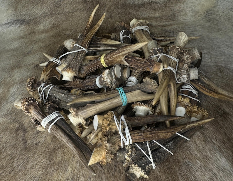 May include: A collection of deer antlers, varying in size and shape, are bundled together with white string and rubber bands. The antlers display a range of brown and tan hues, with some sections appearing lighter in color. The background is a textured, fur-like material.