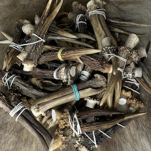 May include: A collection of deer antlers, varying in size and shape, with natural brown and tan hues. Some antlers are bundled with white string or rubber bands. The background is a textured, brown surface.