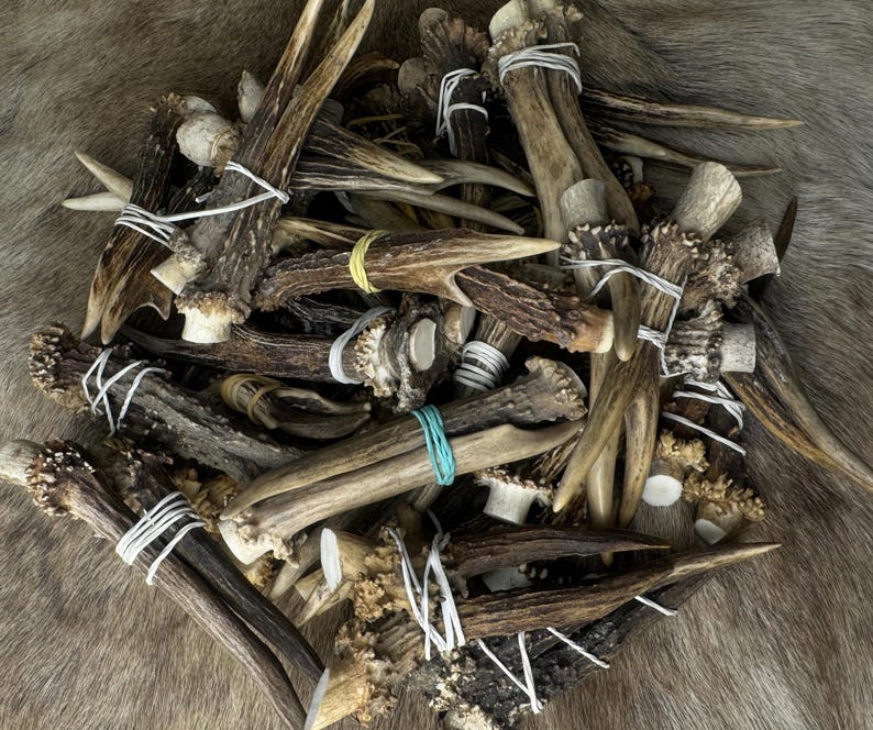 May include: A collection of deer antlers, varying in size and shape, with natural brown and tan hues. Some antlers are bundled with white string or rubber bands. The background is a textured, brown surface.