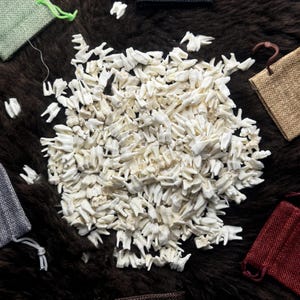 Reh Kiefer Zähne Specimens für Schmuck und Mixed Media Crafting