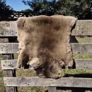 May include: A tanned, brown animal hide with a soft, furry texture is draped over a weathered wooden bench. The hide is irregularly shaped, with a natural, organic form. The background features green grass and a blue sky.
