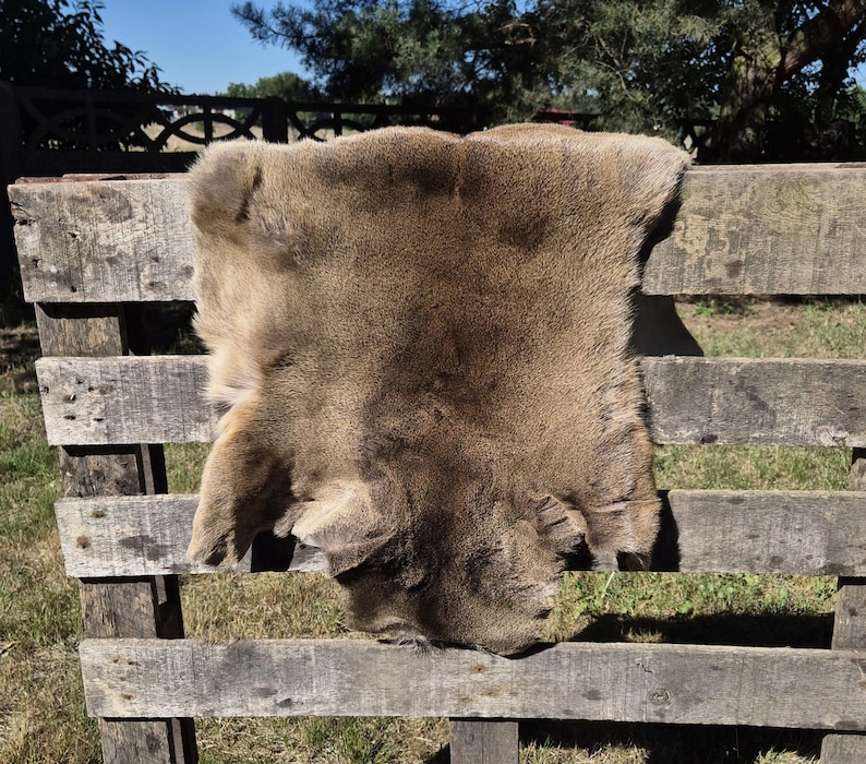 May include: A tanned, brown animal hide with a soft, furry texture is draped over a weathered wooden bench. The hide is irregularly shaped, with a natural, organic form. The background features green grass and a blue sky.