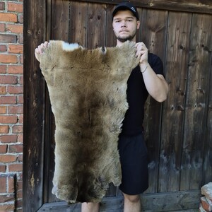 May include: A tanned animal hide, primarily brown with lighter patches, is held up. The hide has a natural, irregular shape and a soft, textured appearance. The background features a wooden door and a brick wall.