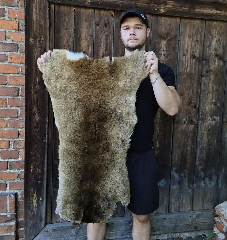 May include: A tanned animal hide, primarily brown with lighter patches, is held up. The hide has a natural, irregular shape and a soft, textured appearance. The background features a wooden door and a brick wall.