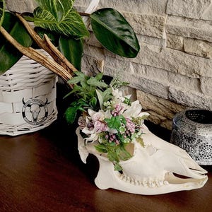 Spring Floral Decorated Real Roe Deer Skull with Lower Jaw - Handcrafted and One-of-a-Kind Home Decor Piece | Spring Flowers | birthday gift