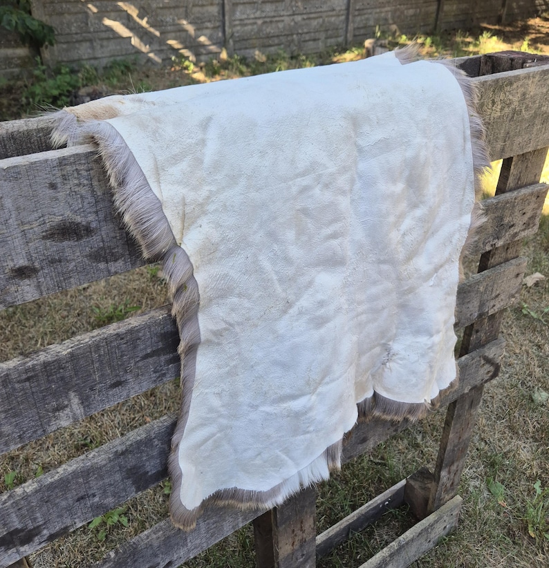May include: A cream-colored hide with a gray fur trim is draped over a wooden structure. The hide has a soft, textured appearance. The fur trim adds a natural, rustic element to the piece. The hide is likely used for decorative purposes.