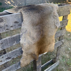 May include: A tanned deer hide with a mix of brown and tan tones, draped over a rustic wooden pallet. The hide has a soft, textured appearance and shows natural variations in color and pattern. The pallet is made of weathered wood.