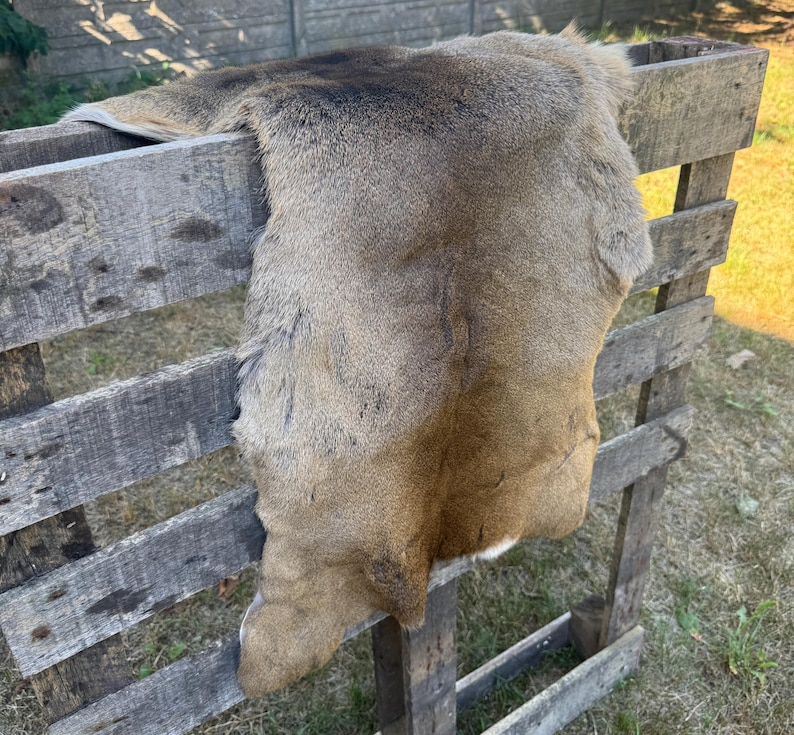 May include: A tanned deer hide with a mix of brown and tan tones, draped over a rustic wooden pallet. The hide has a soft, textured appearance and shows natural variations in color and pattern. The pallet is made of weathered wood.
