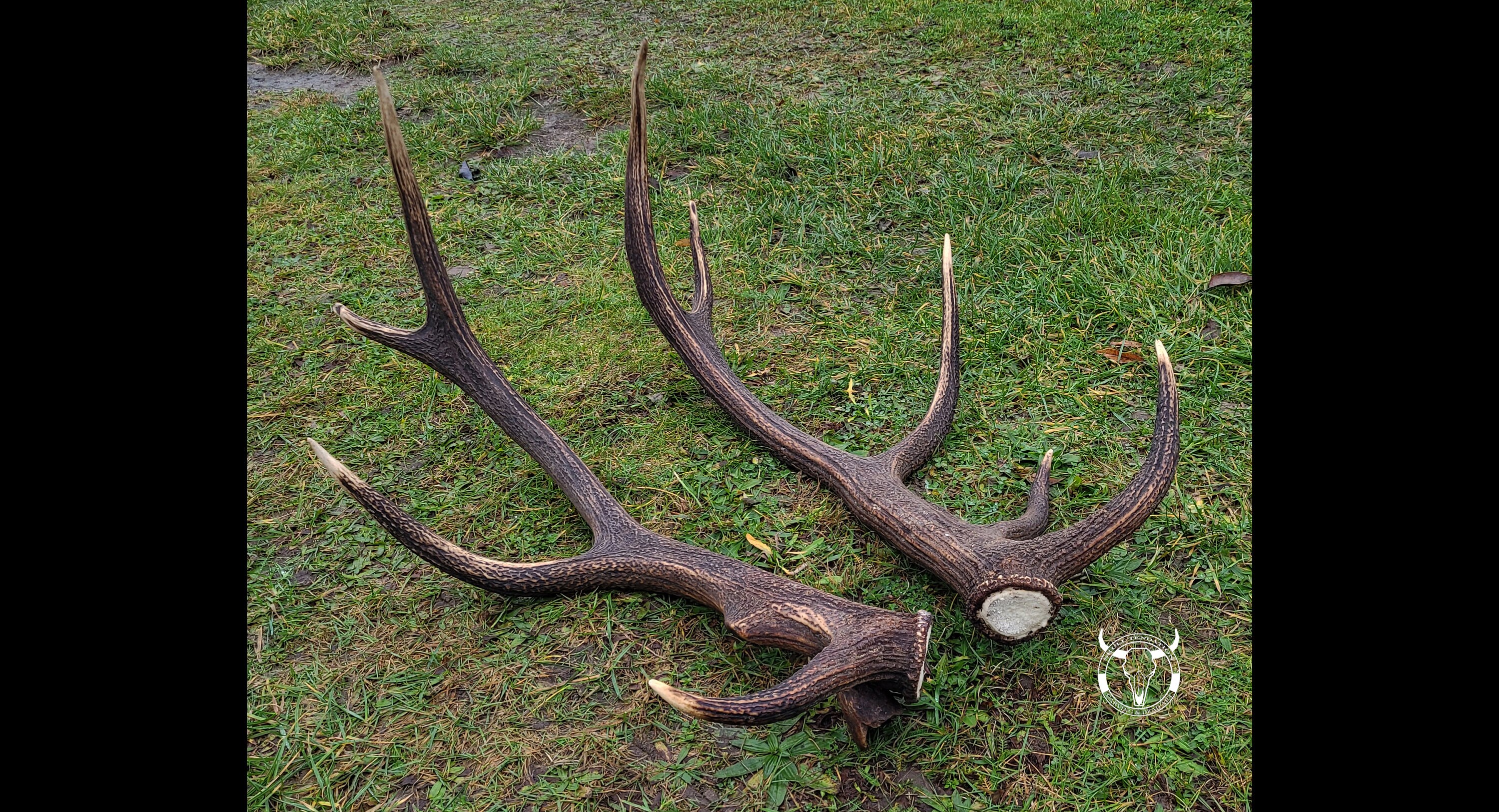 Clip De Chapeau En Laiton Forme Bois De Cerf - Accessoire Chasse Et Plein Air - Cadeau Pour Amateur De Nature - 8