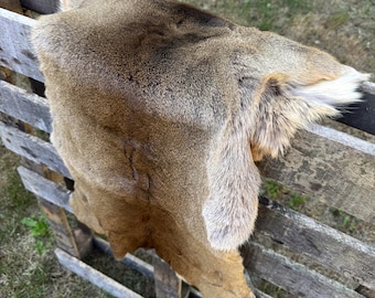 Winter Roe Deer Hide Rug – European Fur Pelt for Cabin Wall or Floor