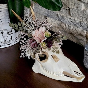 Beautiful European DEER SKULL with lower jaw - natural decoration with flowers for all seasons | hipster decor | handicraft | skull lover