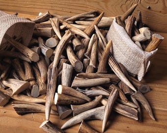Small roe deer antler tips for pendants and crafts, jewelry making