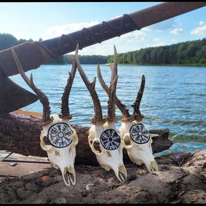 Real European Roe deer skull | Vegvisir viking compass | Runic compass | Viking runes | Pagan runes | Norse mythology | Gift | Present set