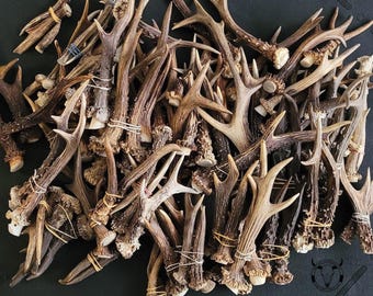 Roe Deer Antlers Selection for Craft Supply and Cabin-Style Decor - rustic decor