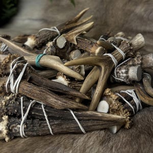 May include: A pile of natural deer antlers, varying in size and shape, bound together with white string. The antlers display a range of brown and tan hues, with some sections appearing lighter. A few have a green rubber band. The background is a textured, brown surface.