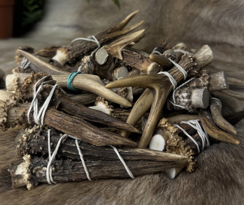 May include: A pile of natural deer antlers, varying in size and shape, bound together with white string. The antlers display a range of brown and tan hues, with some sections appearing lighter. A few have a green rubber band. The background is a textured, brown surface.