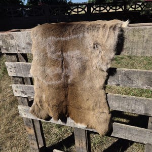May include: A tanned deer hide with a soft, fur-like texture. The hide is a mix of brown and tan colors, with a lighter underside. It is draped over a rustic wooden fence, showcasing its natural form.