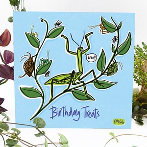 Carte d'anniversaire insecte insecte mante religieuse - Gâteries d'anniversaire